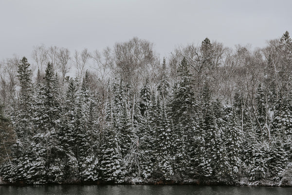 Winter Solstice Ritual