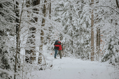 3-Day Algonquin Highlands Wellness Retreat || March 18-20, 2025