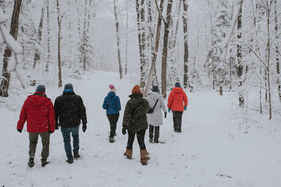 3-Day Algonquin Highlands Wellness Retreat || March 18-20, 2025