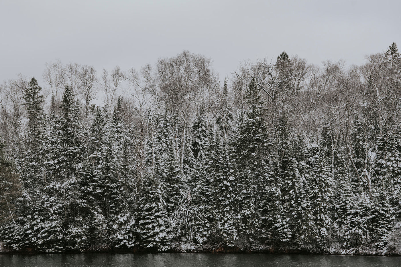 3-Day Algonquin Highlands Wellness Retreat || March 18-20, 2025